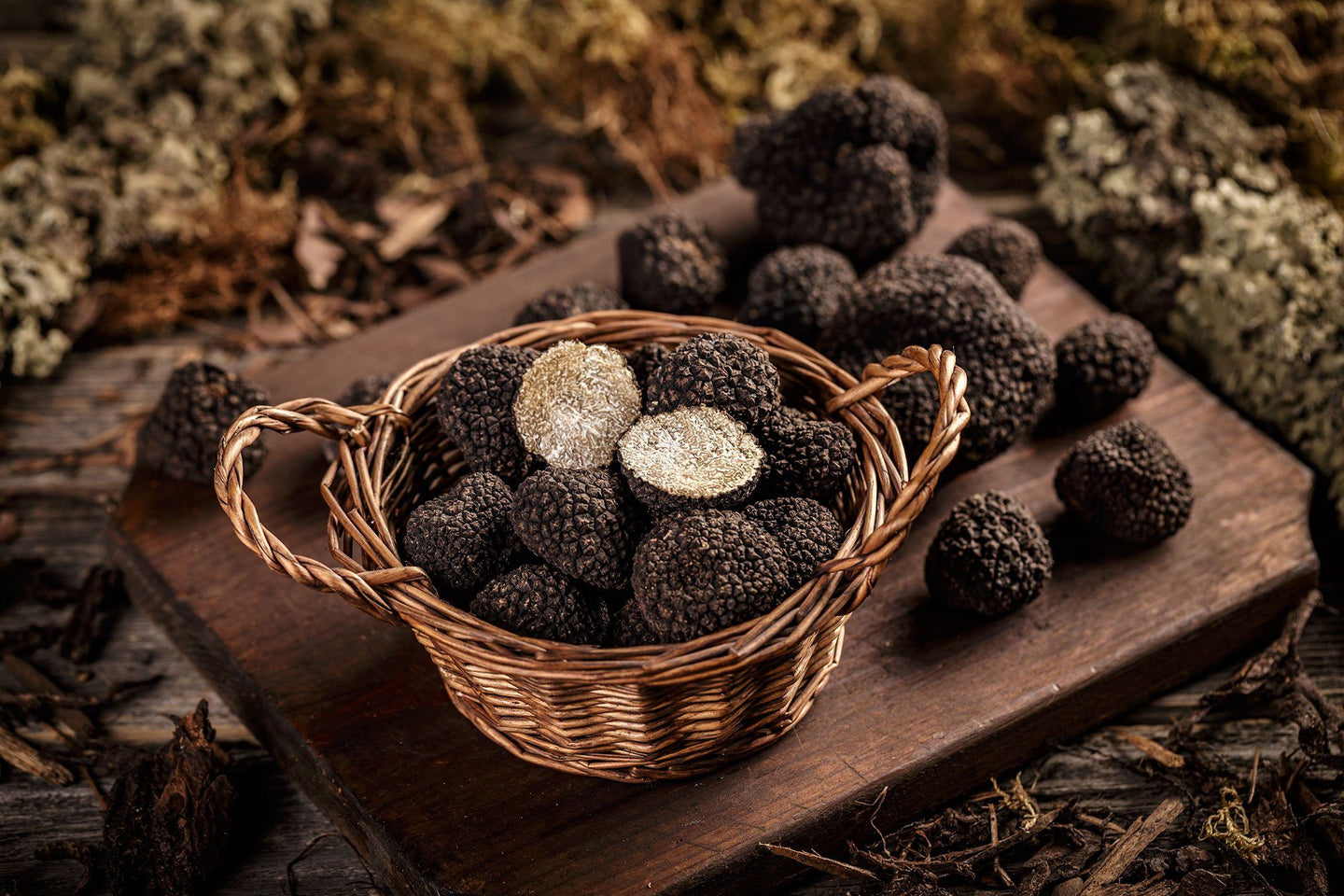 Trufas y Hongos