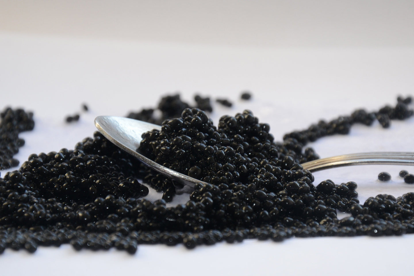 Caviar y Sucedanos de Caviar